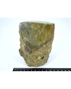 Fossil (petrified) wood with green opal; polished on one side; Garut, Java, Indonesia; Single piece 1.3 kg