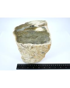 Fossil (petrified) wood with green opal; polished on one side; Garut, Java, Indonesia; Single piece 2.4 kg