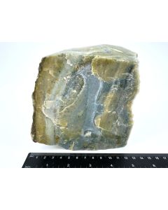 Fossil (petrified) wood with green opal; polished on one side; Garut, Java, Indonesia; Single piece 1.4 kg