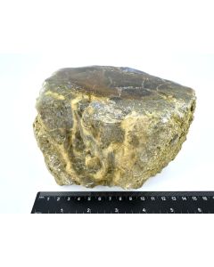 Fossil (petrified) wood with green opal; polished on one side; Garut, Java, Indonesia; Single piece 1.8 kg