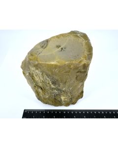 Fossil (petrified) wood with green opal; polished on one side; Garut, Java, Indonesia; Single piece 2.6 kg