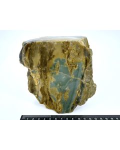 Fossil (petrified) wood with green opal; polished on one side; Garut, Java, Indonesia; Single piece 1.3 kg