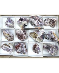 Amethyst xx; Mapimi, Mexiko; 1 Steige; Unikat