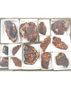 Hematite (Kidney ore); Großer Knollen; Herzberg, Harz, Germany; 1 flat, unique piece 