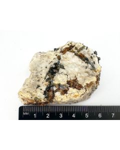 Niobiophyllit xx; Mt. Malosa, Malawi; KS (593)