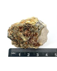 Niobiophyllit xx; Mt. Malosa, Malawi; KS (594)