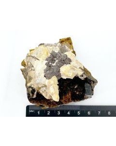 Pyrochlor xx; Mt. Malosa, Zomba, Malawi; KS (595)