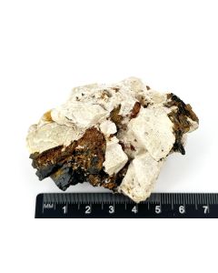 Niobiophyllit xx; Mt. Malosa, Malawi; NS (600)