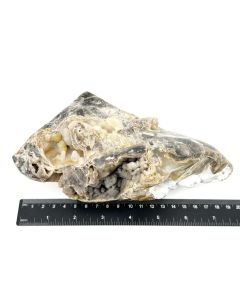 Chalcedon braun, weiß; drusig, poliert; Indonesien; 1,2 kg; Einzelstück