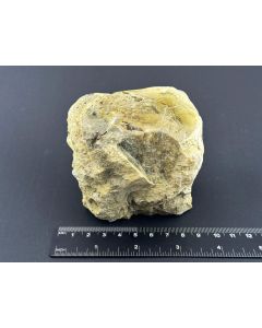 Opal, Fossiles (versteinertes) Holz mit Opal; einseitig poliert; Garut, Java, Indonesien; 600 g; NS; Einzelstück