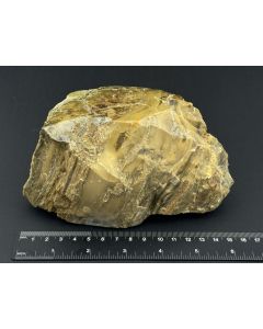 Opal, Fossiles (versteinertes) Holz mit Opal; einseitig poliert; Garut, Java, Indonesien; 1,25 kg; HS; Einzelstück