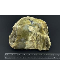 Opal, Fossiles (versteinertes) Holz mit Opal; einseitig poliert; Garut, Java, Indonesien; 2,8 kg; GS; Einzelstück