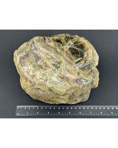 Opal, Fossiles (versteinertes) Holz mit Opal; einseitig poliert; Garut, Java, Indonesien; 4,85 kg; GS; Einzelstück