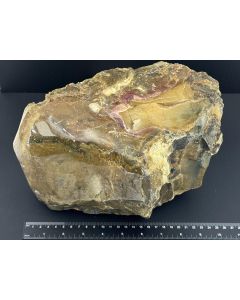 Opal, Fossiles (versteinertes) Holz mit Opal; einseitig poliert; Garut, Java, Indonesien; 8,75 kg; GS; Einzelstück