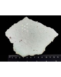 Opal, Mint Opal; grün; einseitig poliert; Sulawesi, Indonesien; NS; Einzelstück