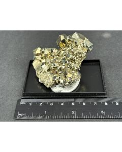 Pyrit xx; Huanzala Mine, Huanoni Distrikt, Peru; NS; Einzelstück