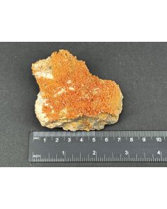 Vanadinit xx; J.C. Holmes Mine, Patagonia, Arizona, USA; Gerd Tremmel Sammlung; NS; Einzelstück