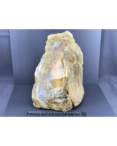 Fossiles (versteinertes) Holz mit grünem Opal; Garut, Java, Indonesien; 9,8 kg; GS; Einzelstück 