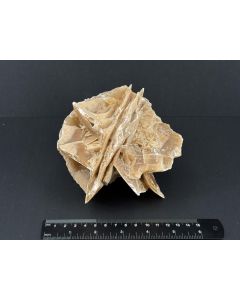 Sandrose; Tunesien; 1 kg; Einzelstück