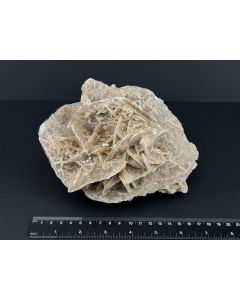 Sandrose; Tunesien; 1,6 kg; Einzelstück