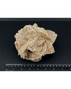 Sandrose; Tunesien; 1 kg; Einzelstück