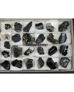 Schörl xx; Erongo, Namibia; 1 Steige; Unikat (26)
