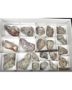 Creaseyit xx etc.; Tiger, Pinal Co., AZ, USA; 1 Steige; Unikat (43)