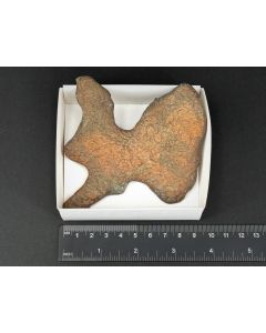 Kupfer; Mansfeld, Harz, Deutschland; NS; Einzelstück
