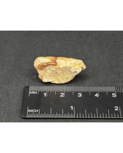 Zirkon X; Mt. Malosa, Zomba, Malawi; MM; Einzelstück