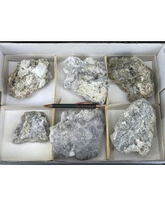 Nifontovite xx; Charcas, Mexiko; 1 Steige; Unikat (87)