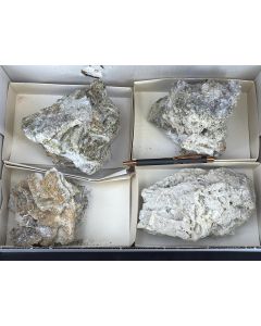 Nifontovite xx; Charcas, Mexiko; 1 Steige; Unikat (72)