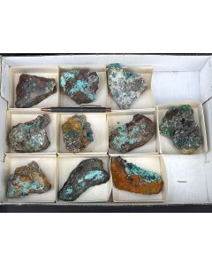 Rosasit, Aurichalcit xx; Mapimi, Mexiko;1 Partie mit 10 Stück; Unikat (97)