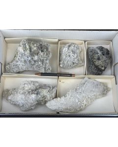 Nifontovite xx; Charcas, Mexiko; 1 Steige; Unikat (85)