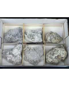 Nifontovite xx; Charcas, Mexiko; 1 Steige; Unikat (86)