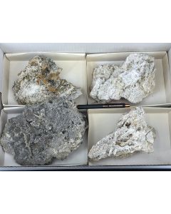 Nifontovite xx; Charcas, Mexiko; 1 Steige; Unikat (104)