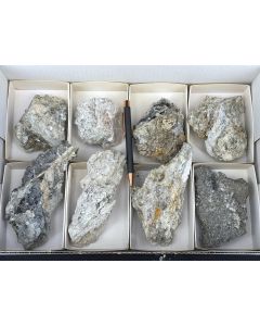 Nifontovite xx; Charcas, Mexiko; 1 Steige; Unikat (103)