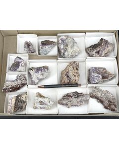 Amethyst xx; Mapimi, Mexiko; 1 Steige; Unikat