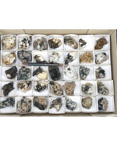 Pyrochlor, Zirkon, Aegirin etc. xx; Mt. Malosa, Zomba, Malawi; 1 Steige; Unikat 
