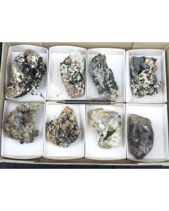 Zirkon, Monazit, Aegirin xx; z.T. UV-aktiv!; Mt. Malosa, Zomba, Malawi; 1 Steige; Unikat 