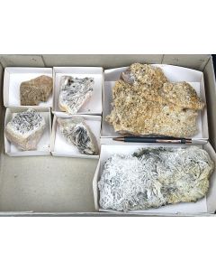 Barit xx, Chalcopyrit (Kupferkies) xx; Dreislar, Sauerland, Deutschland; 1 Partie mit 6 Stück; Unikat 