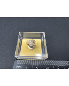 Aguilarit; Cuchillo, NM, USA; MM; Einzelstück