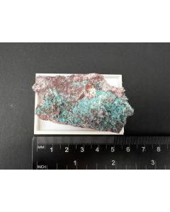 Ajoit xx; New Cornelia Mine, Ajo, AZ, USA; NS; Einzelstück