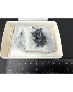 Akanthit xx; Rajas Mine, Mexiko; NS; Einzelstück