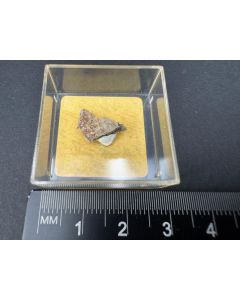 Abernathyit xx; Lodeve, Herault, Frankreich; MM; Einzelstück