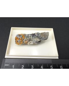 Chabourneit xx; Jas Roux, Hautes Alpes, Frankreich; KS; Einzelstück