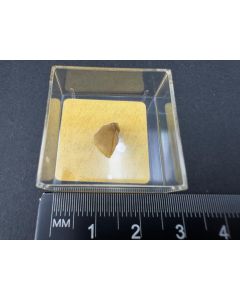 Ameghinit X; Tincalayu, Salta, Argentinien; MM; Einzelstück