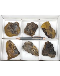Pyrolusite xls; Hermannstein, Germany; 1 half size flat; unique