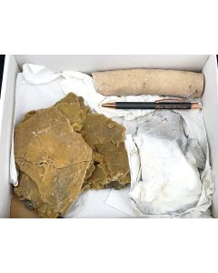 Kalksinter; Eisleben, Halle, Bergbau, Thüringen, Deutschland; 1 Halbformat Seige; Unikat 