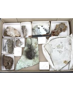 Sinter; Altbergbau, Büchensberg, Elbingerode, Harz, Thüringen, Deutschland; 1 Seige; Unikat