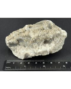Struvite xls; Watenbüttel, Braunschweig, Lower Saxony, Germany; Scab; unique piece
